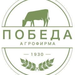 Pobeda